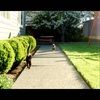 rydog5237